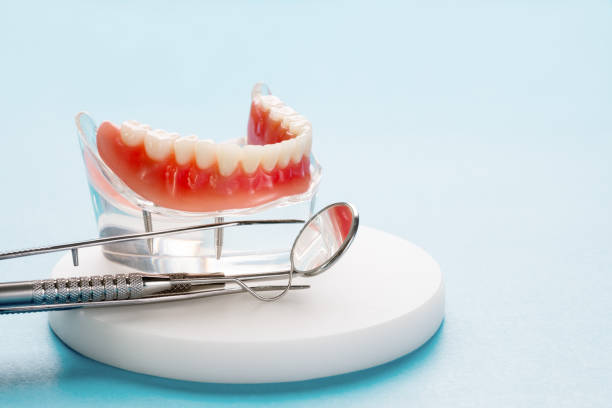 Professional Dental Services in North Sarasota, FL
